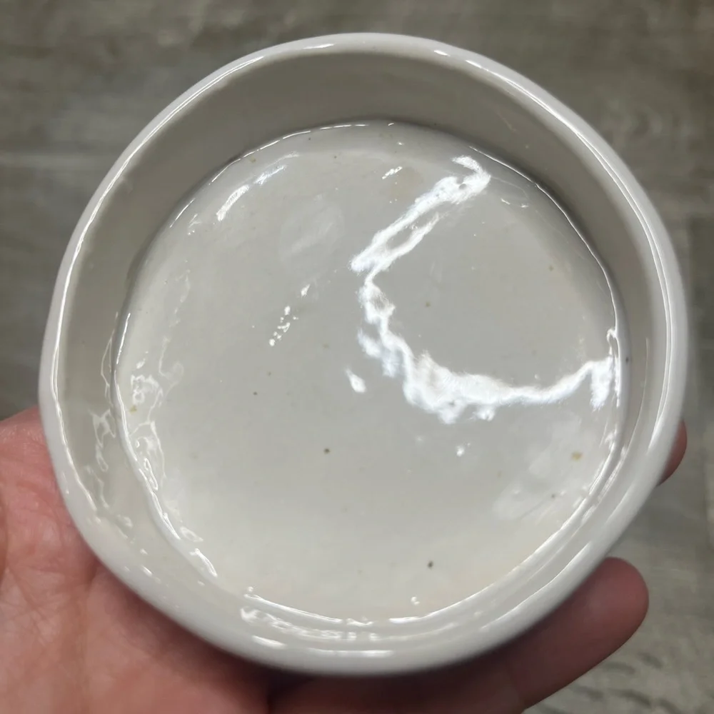 Handmade Circular Ceramic Reptile Dish - Picture 4 of 6